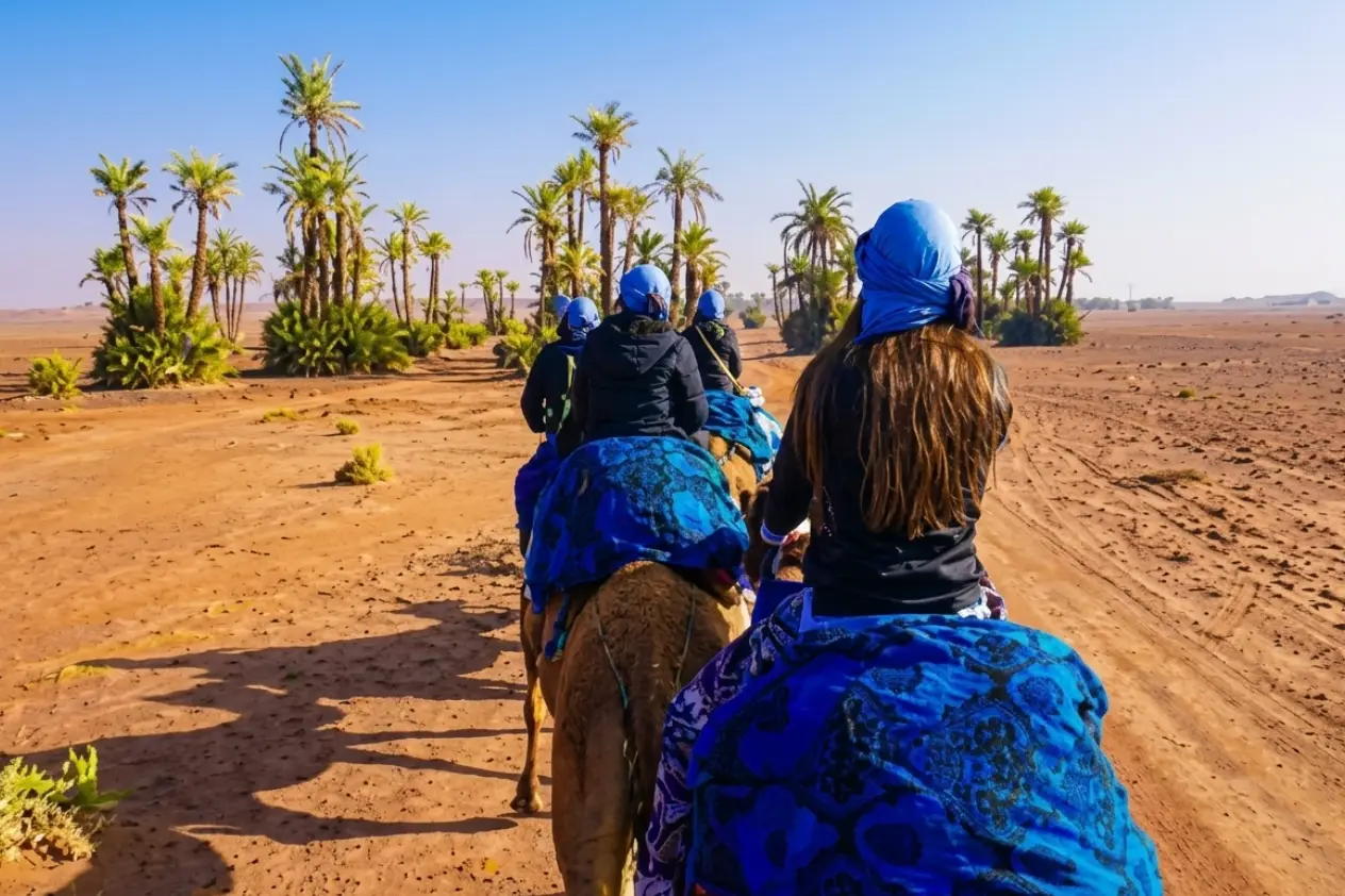 Balade à dos de chameau Marrakech